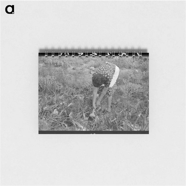 アートメモ帳-Worn Tires, Kilgore, Texas
 - ラッセル リー Memo.