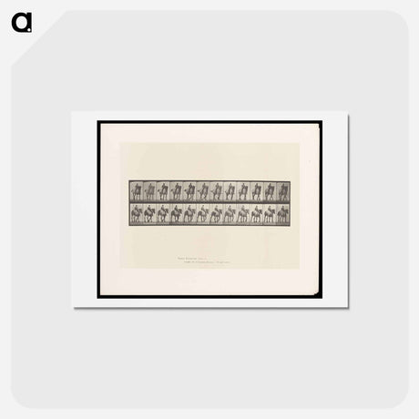 アートポストカード-Bareback Rider
 - エドワード マイブリッジ Postcard.
