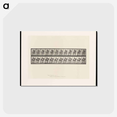 アートポストカード-Bareback Rider
 - エドワード マイブリッジ Postcard.