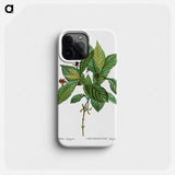 Alpine honeysuckle - Pierre Joseph Redouté Phone Case.