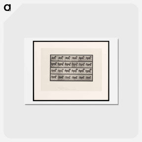 アートポストカード-Driving Sulky
 - エドワード マイブリッジ Postcard.