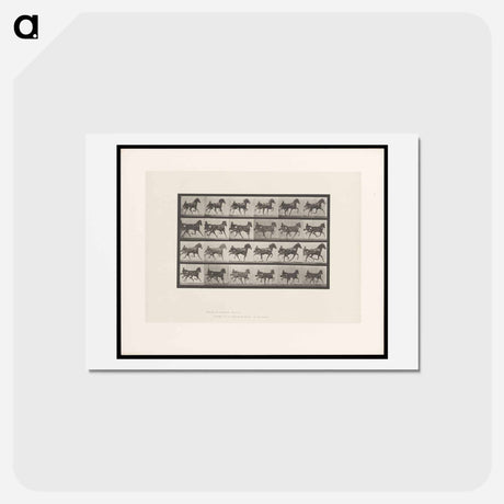 アートポストカード-Driving Sulky
 - エドワード マイブリッジ Postcard.