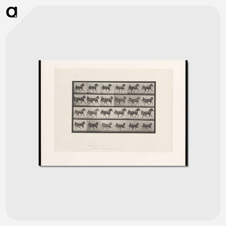 アートポストカード-Driving Sulky
 - エドワード マイブリッジ Postcard.