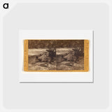 アートポストカード-Making Bread in the Yosemite
 - エドワード マイブリッジ Postcard.