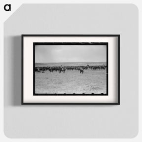 アートポスター-Cattle Roundup Near Marfa
 - ラッセル リー Poster.