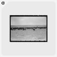 アートポストカード-Cattle Roundup Near Marfa
 - ラッセル リー Postcard.
