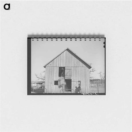 アートメモ帳-Guayule Seedling Digger
 - ラッセル リー Memo.