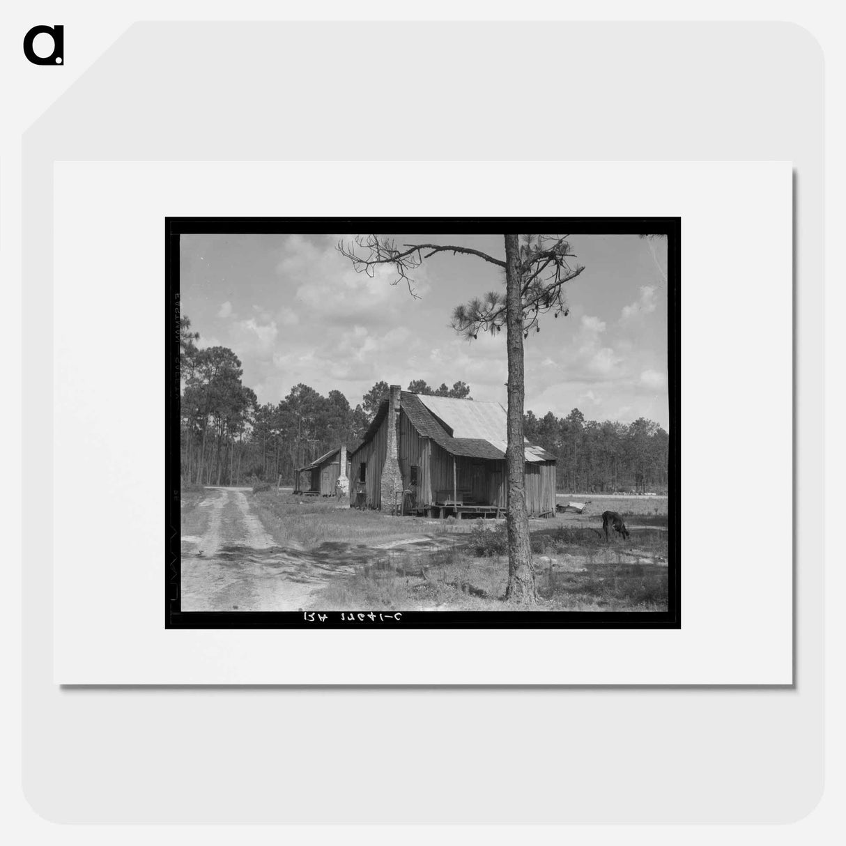 Turpentine worker's cabins - Dorothea Lange Poster.