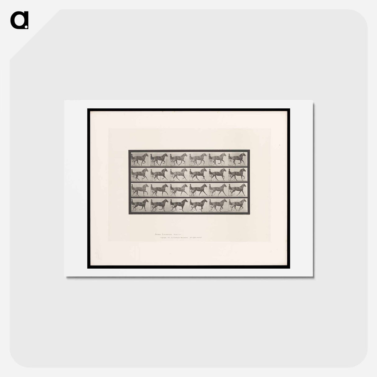 アートポストカード-The Sulky Driver
 - エドワード マイブリッジ Postcard.