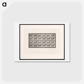 アートポストカード-The Sulky Driver
 - エドワード マイブリッジ Postcard.