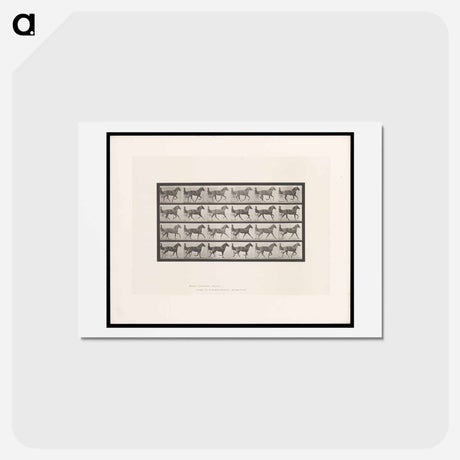 アートポストカード-The Sulky Driver
 - エドワード マイブリッジ Postcard.