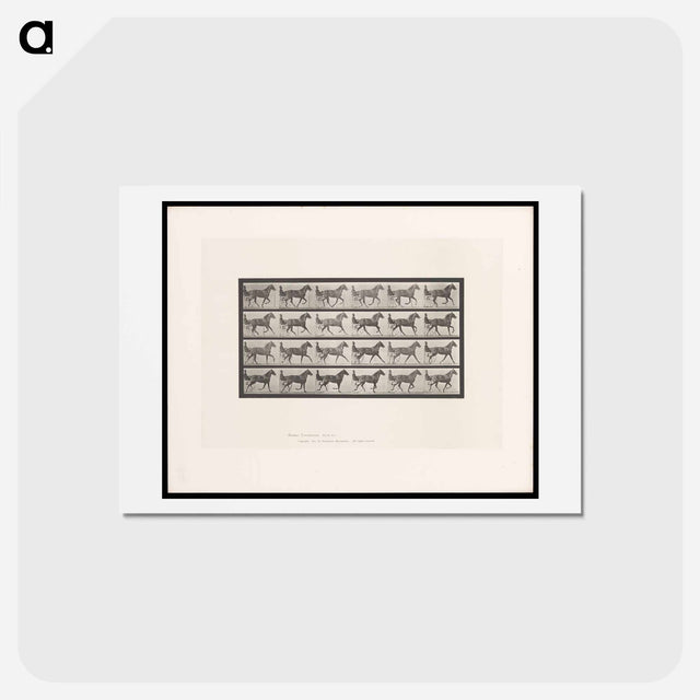 アートポストカード-The Sulky Driver
 - エドワード マイブリッジ Postcard.