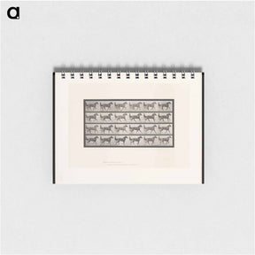 アートメモ帳-The Sulky Driver
 - エドワード マイブリッジ Memo.