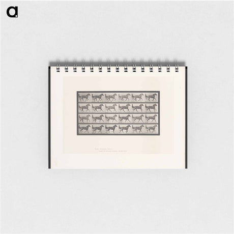 アートメモ帳-The Sulky Driver
 - エドワード マイブリッジ Memo.