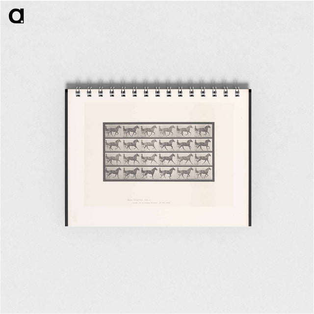 アートメモ帳-The Sulky Driver
 - エドワード マイブリッジ Memo.