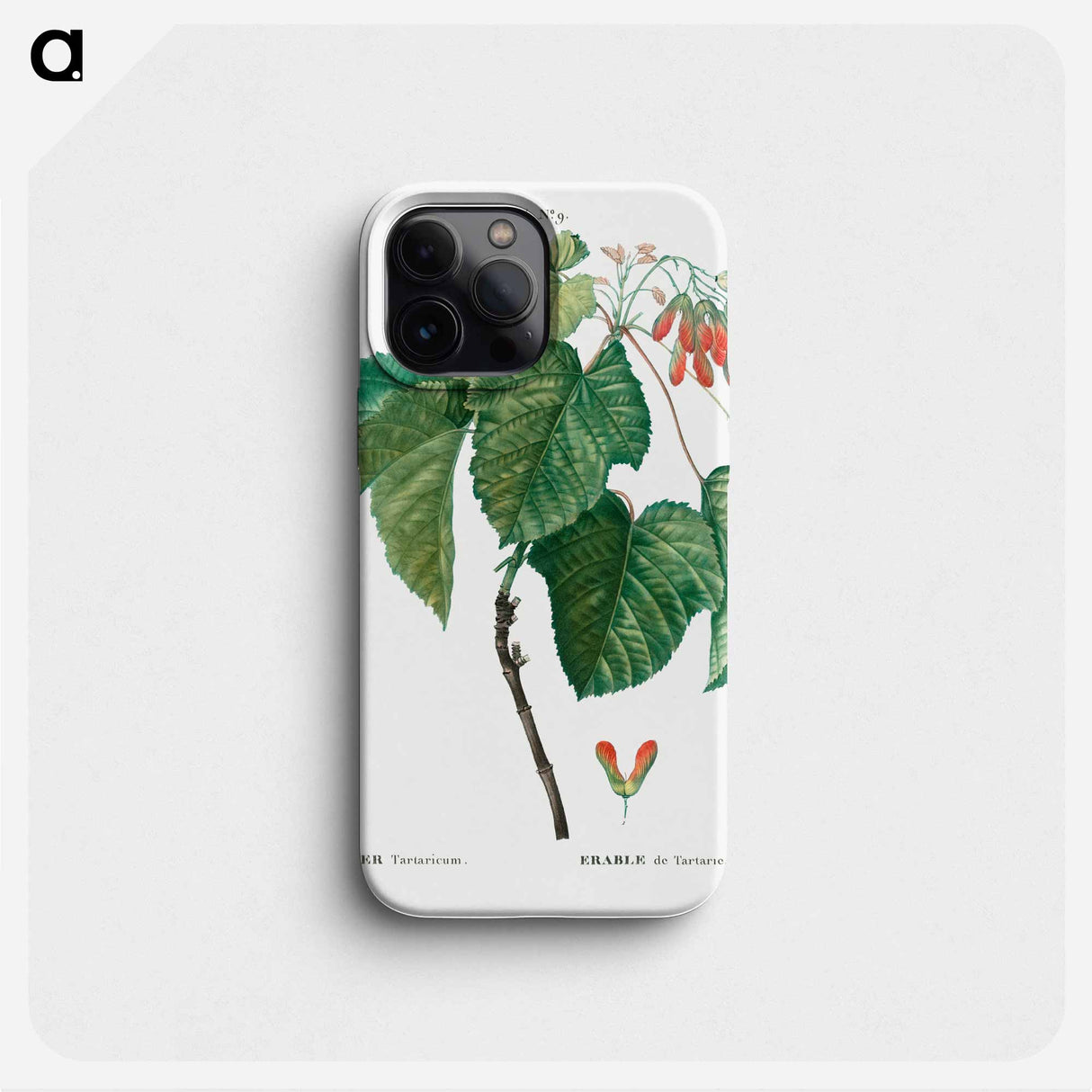 Tatar maple - Pierre Joseph Redouté Phone Case.