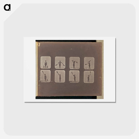 アートポストカード-Club Swinging
 - エドワード マイブリッジ Postcard.