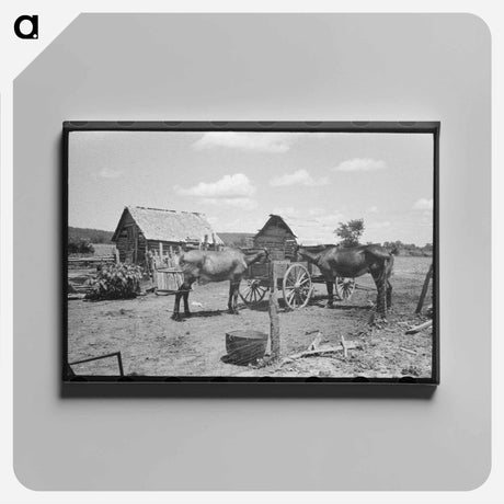 アートパネル-Barber Pole, Plentywood, Montana
 - ラッセル リー Canvas.