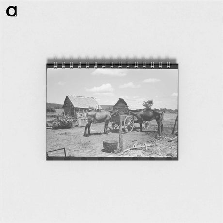 アートメモ帳-Barber Pole, Plentywood, Montana
 - ラッセル リー Memo.
