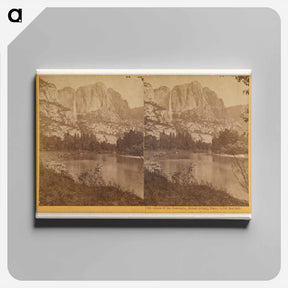アートパネル-Falls of the Yosemite (Great Grizzly Bear)
 - エドワード マイブリッジ Canvas.