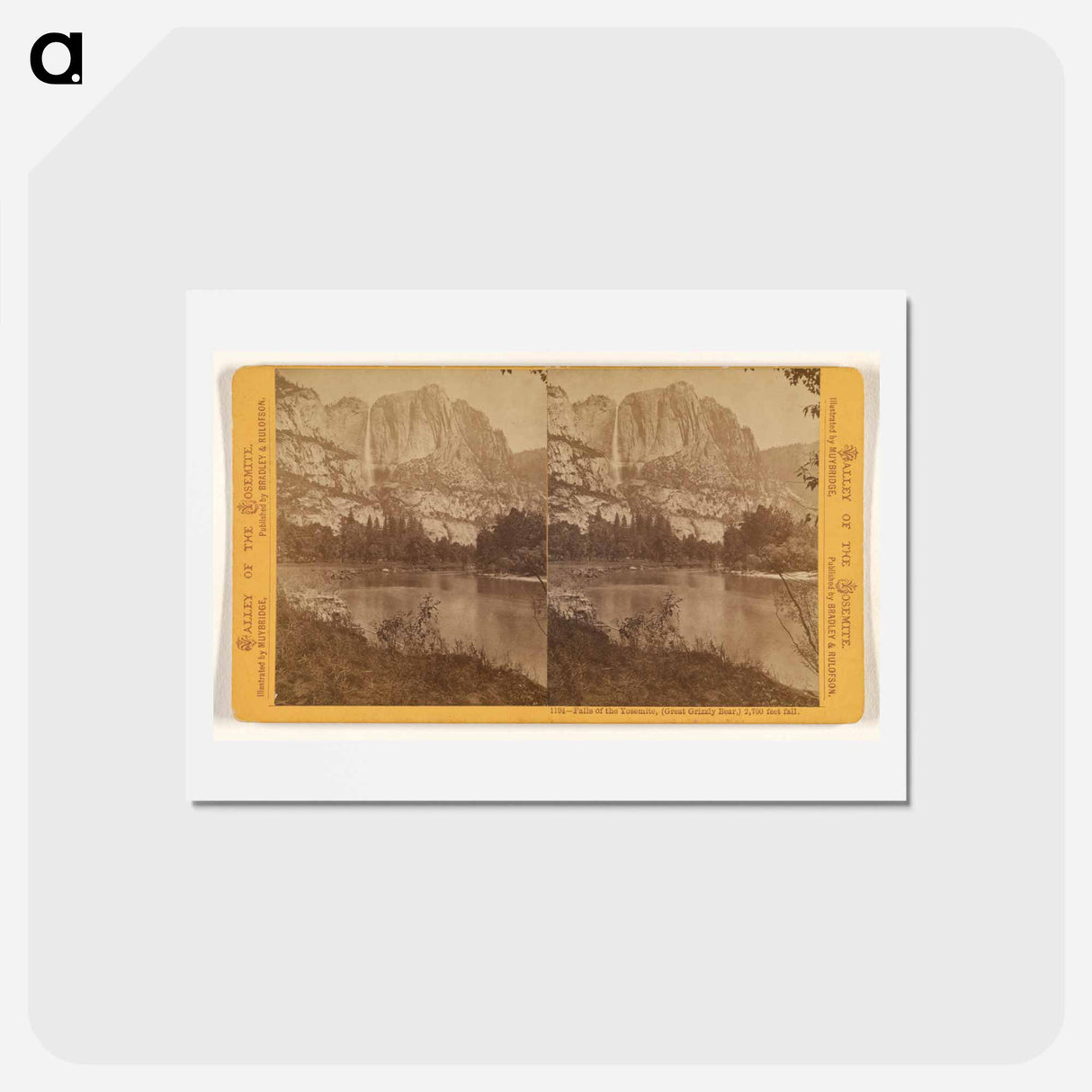 アートポストカード-Falls of the Yosemite (Great Grizzly Bear)
 - エドワード マイブリッジ Postcard.