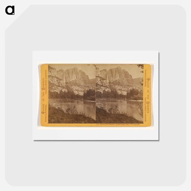 アートポストカード-Falls of the Yosemite (Great Grizzly Bear)
 - エドワード マイブリッジ Postcard.