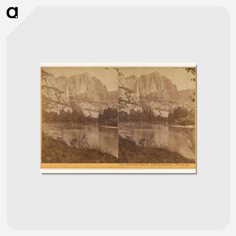 アートポストカード-Falls of the Yosemite (Great Grizzly Bear)
 - エドワード マイブリッジ Postcard.