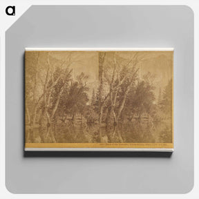 アートパネル-Falls of the Yosemite (Great Grizzly Bear)
 - エドワード マイブリッジ Canvas.