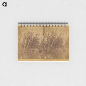 アートメモ帳-Falls of the Yosemite (Great Grizzly Bear)
 - エドワード マイブリッジ Memo.