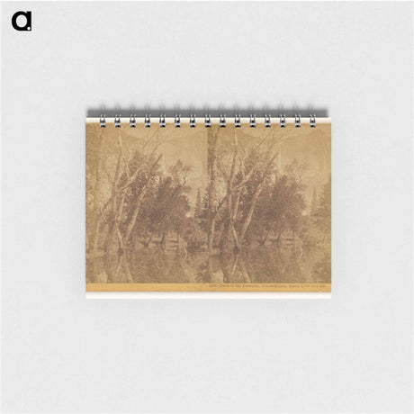 アートメモ帳-Falls of the Yosemite (Great Grizzly Bear)
 - エドワード マイブリッジ Memo.
