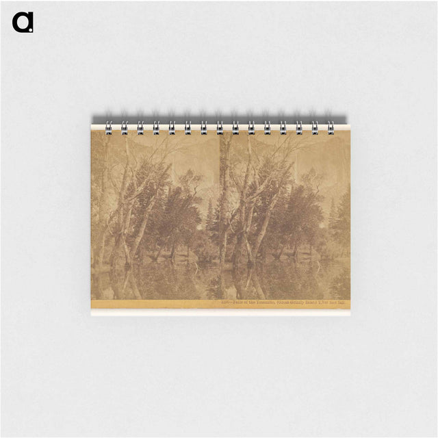 アートメモ帳-Falls of the Yosemite (Great Grizzly Bear)
 - エドワード マイブリッジ Memo.