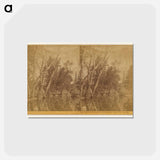 アートポストカード-Falls of the Yosemite (Great Grizzly Bear)
 - エドワード マイブリッジ Postcard.