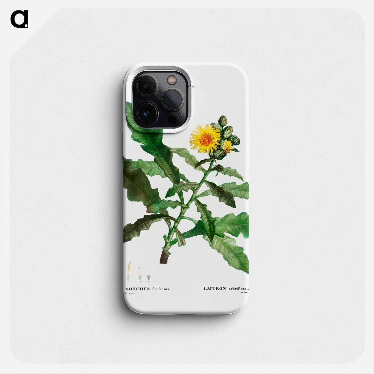Sow thistle - Pierre Joseph Redouté Phone Case.