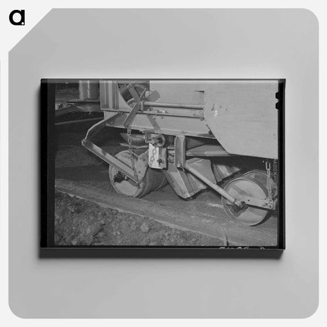 アートパネル-Turkey's Escape
 - ラッセル リー Canvas.