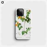 Handsome flat-pea - Pierre Joseph Redouté Phone Case.