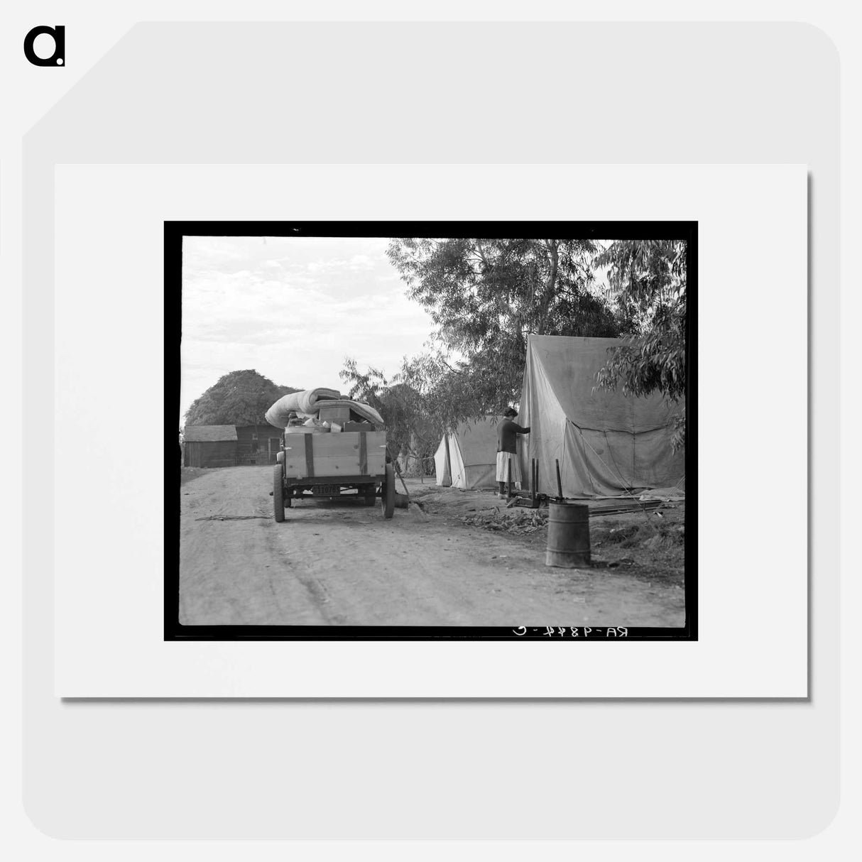 Cotton camp near Exeter, California - Dorothea Lange Poster.