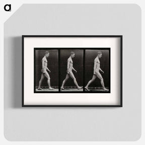 アートポスター-Man Walking
 - エドワード マイブリッジ Poster.