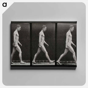 アートパネル-Man Walking
 - エドワード マイブリッジ Canvas.