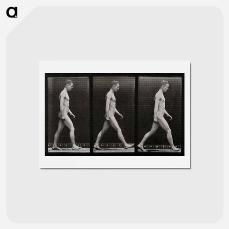 アートポストカード-Man Walking
 - エドワード マイブリッジ Postcard.