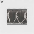 アートメモ帳-Man Walking
 - エドワード マイブリッジ Memo.
