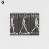 アートメモ帳-Man Walking
 - エドワード マイブリッジ Memo.