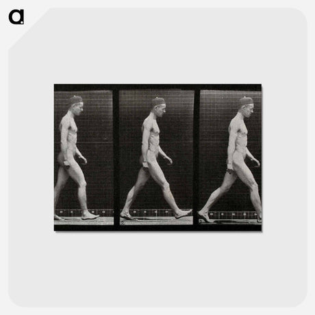 アートポストカード-Man Walking
 - エドワード マイブリッジ Postcard.