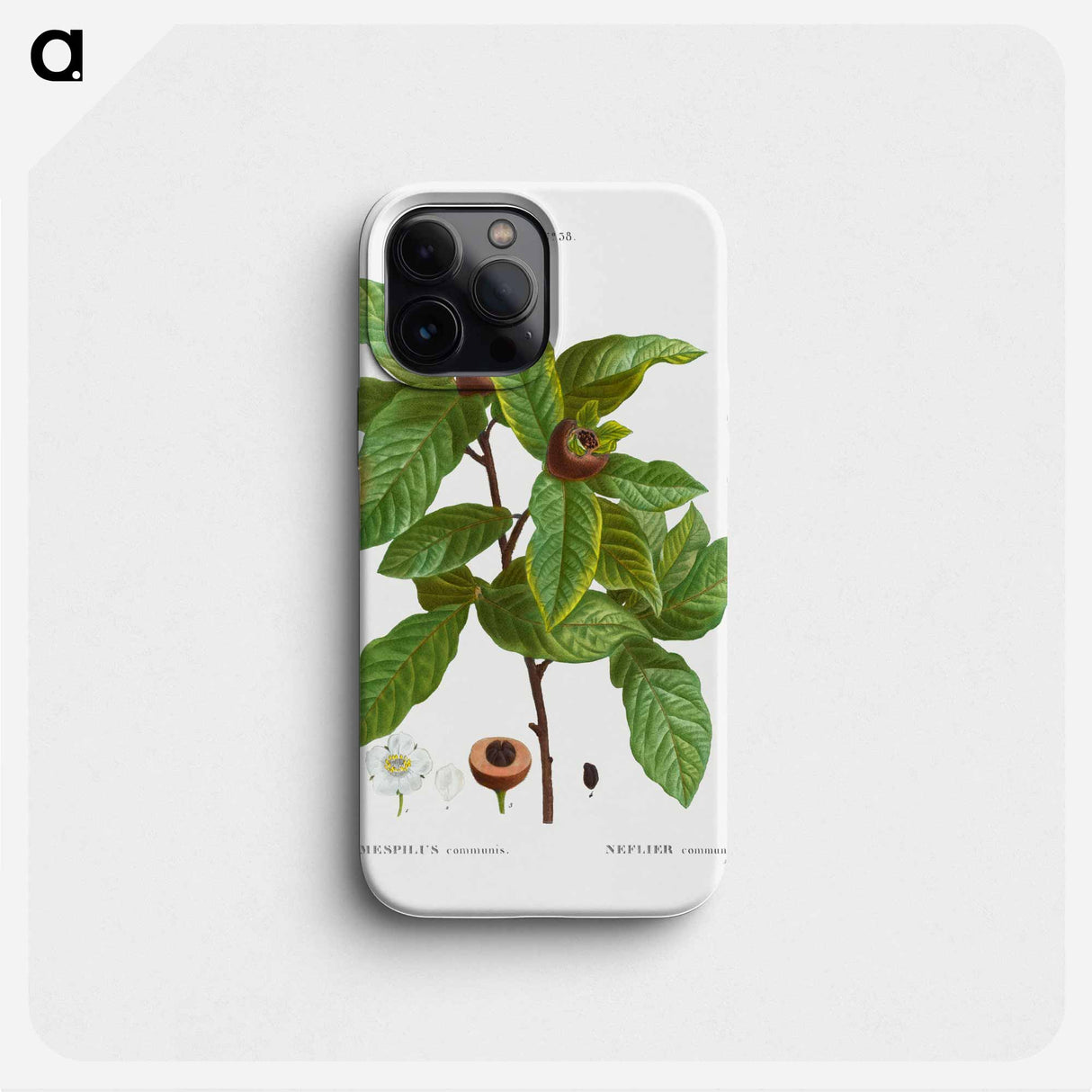 Medlar, Mespilus communis - Pierre Joseph Redouté Phone Case.