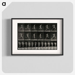 アートポスター-Sprinting Man
 - エドワード マイブリッジ Poster.