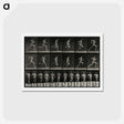 アートポストカード-Sprinting Man
 - エドワード マイブリッジ Postcard.