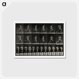 アートポストカード-Sprinting Man
 - エドワード マイブリッジ Postcard.