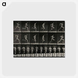 アートポストカード-Sprinting Man
 - エドワード マイブリッジ Postcard.