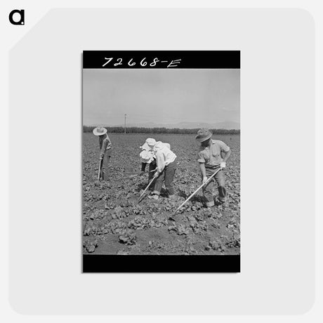 アートポストカード-San Benito Evacuation
 - ラッセル リー Postcard.