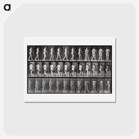 アートポストカード-Street Sweeper
 - エドワード マイブリッジ Postcard.