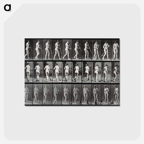 アートポストカード-Street Sweeper
 - エドワード マイブリッジ Postcard.